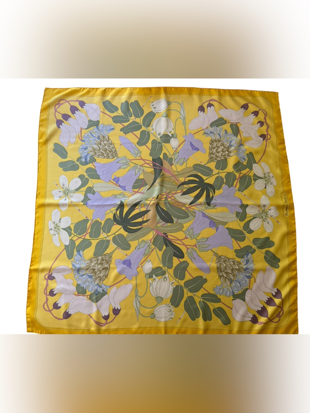 Hermès "Flora Graeca" rare vintage silk scarf - Picture 1 of 12
